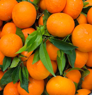 本企业求购收货商信息，本公司有大量水果销售，零售批发